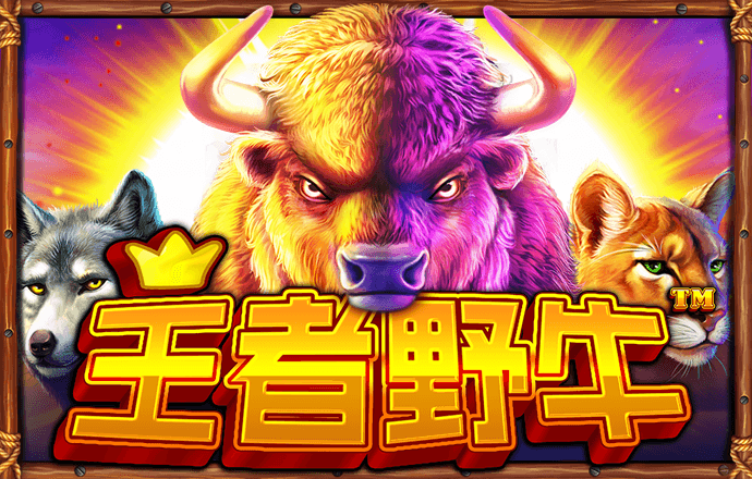 三肖必中特三肖三码官方下载截图4